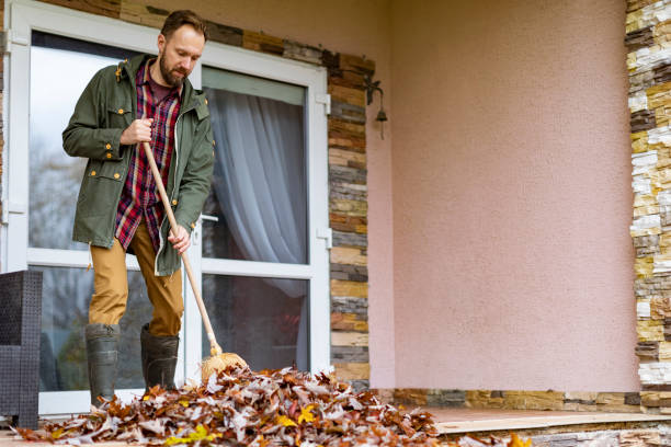Best Junk Removal Near Me  in Plantsville, CT